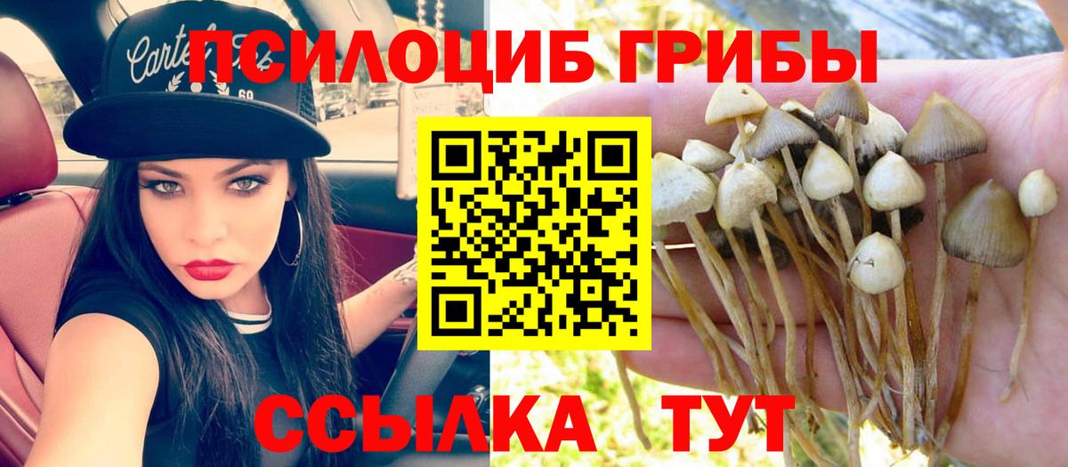 Тулун  Галлюциногенные грибы MAGIC MUSHROOMS  Вход с VPN 